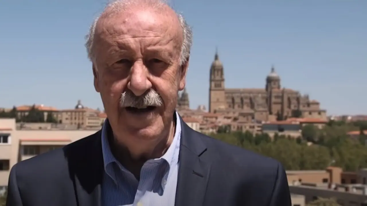 El exentrenador de la Selecci&oacute;n Espa&ntilde;ola masculina de f&uacute;tbol, Vicente del Bosque.