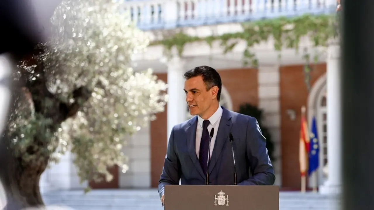 El presidente del Gobierno, Pedro S&aacute;nchez