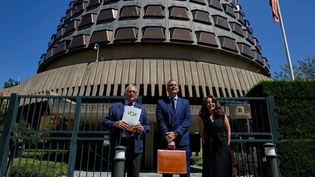 El diputado nacional Juan Jos&eacute; Aizcorbe; el secretario general de Vox, Javier Ortega; y la vicesecretaria jur&iacute;dica de la formaci&oacute;n, Marta Castro, ante el Tribunal Constitucional.