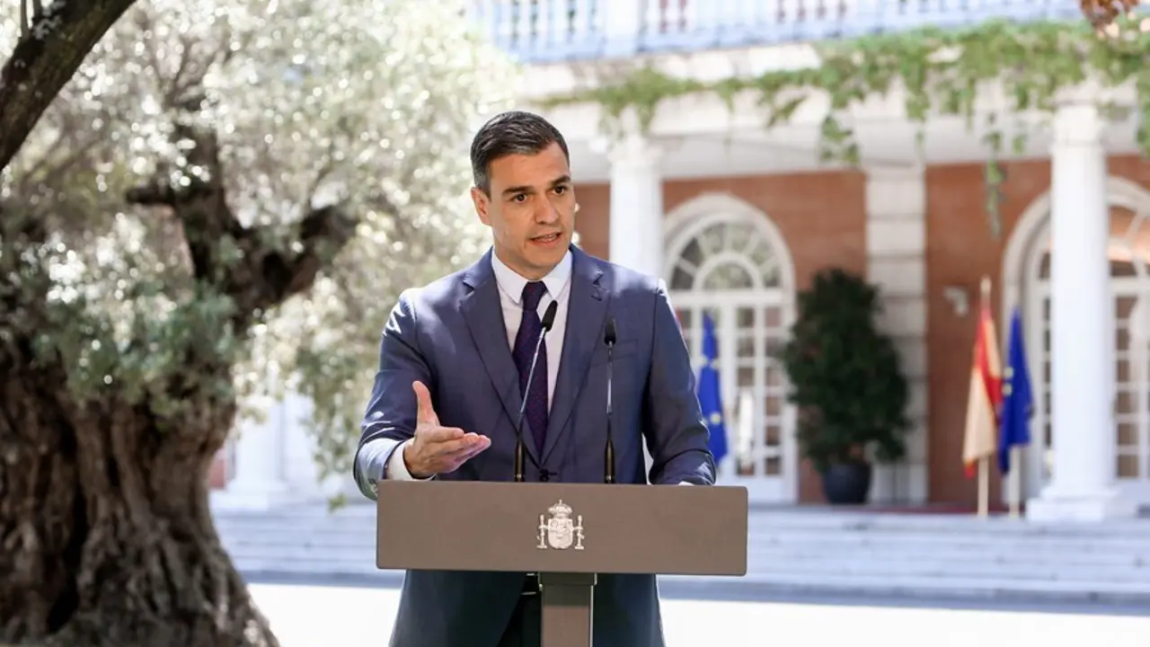 El presidente del Gobierno, Pedro S&aacute;nchez