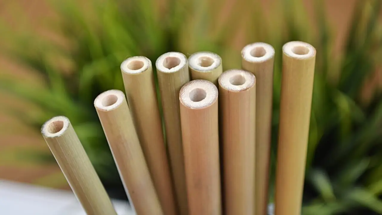 Archivo - Pajitas de bambu de Packawin