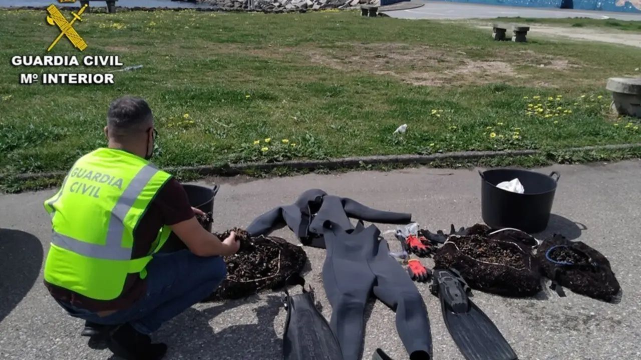 La Guardia Civil desarticula un grupo dedicado al furtivismo de marisco