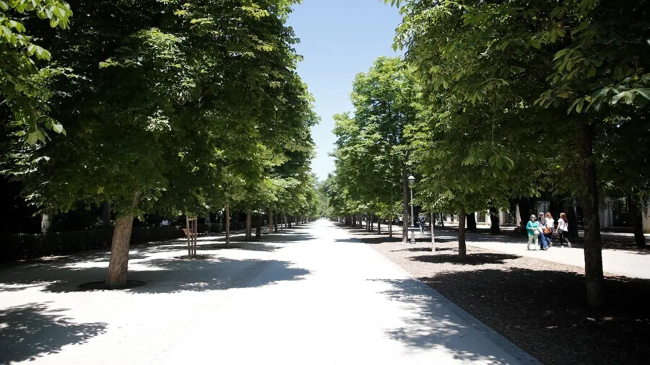 Archivo - Imagen de recurso del un paseo con &aacute;rboles y vegetaci&oacute;n