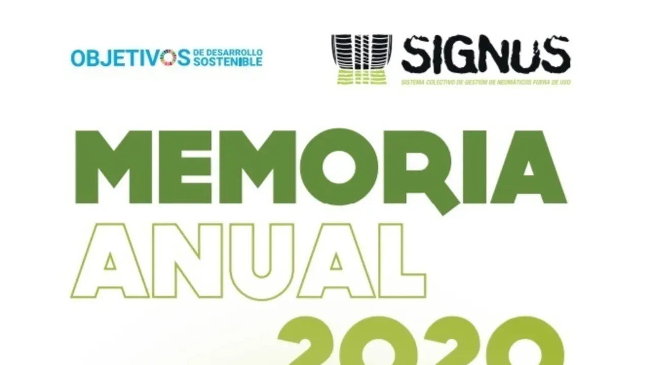 Memoria de actividad de Signus del ejercicio 2020