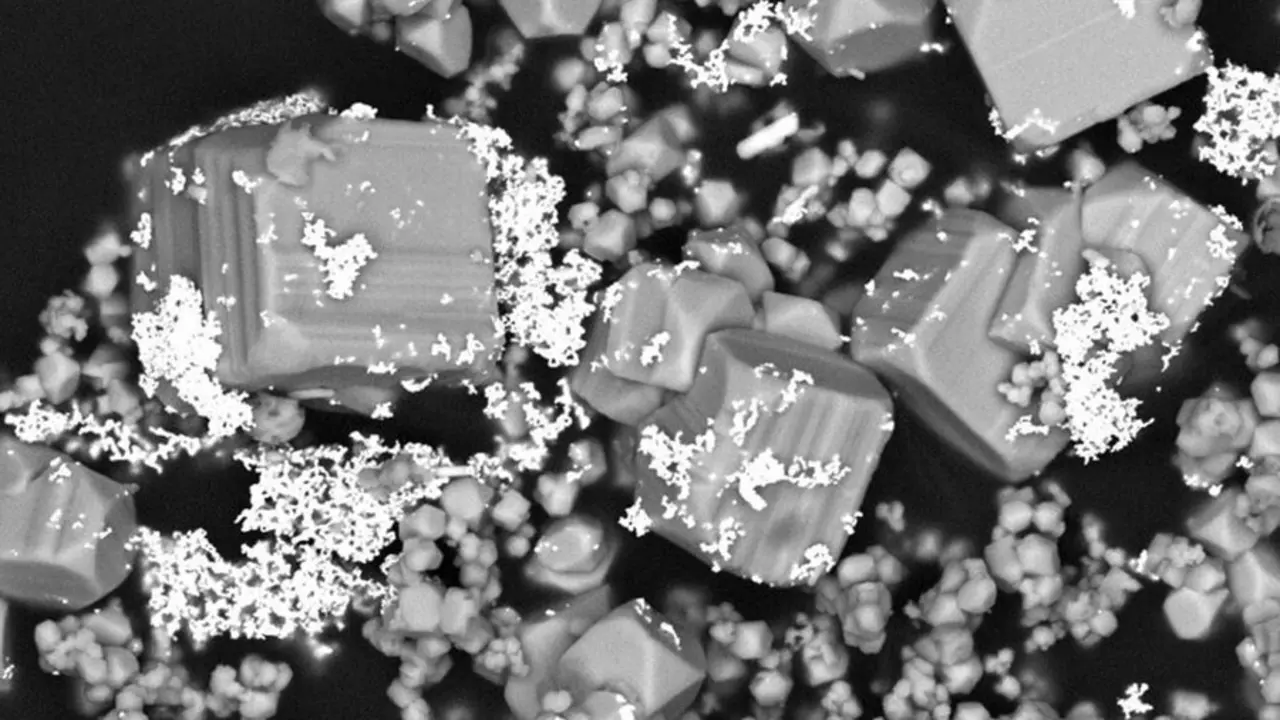 Microfotograf&iacute;a de microscop&iacute;a electr&oacute;nica de barrido que muestra micropart&iacute;culas de oro (color brillante) depositadas con cristales de pirita de una soluci&oacute;n hidrotermal en un experimento de laboratorio.