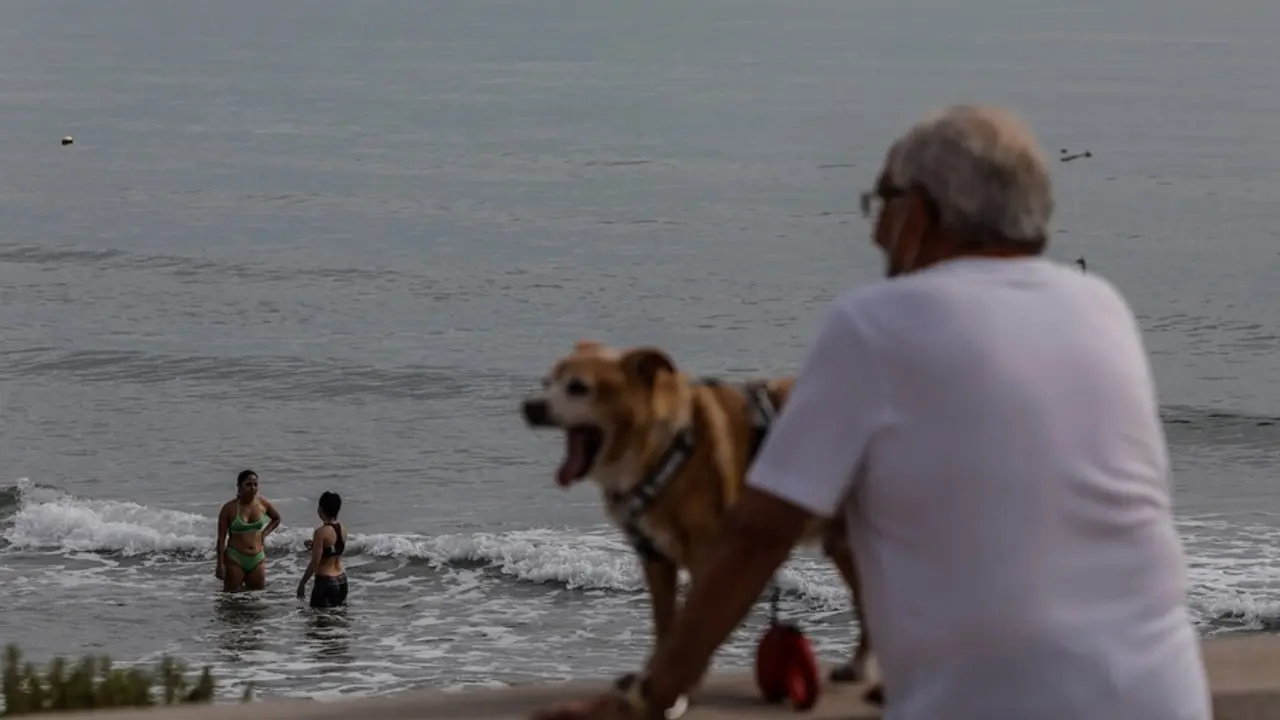 Archivo - Un hombre con su perro en Playa de la Malva-rosa