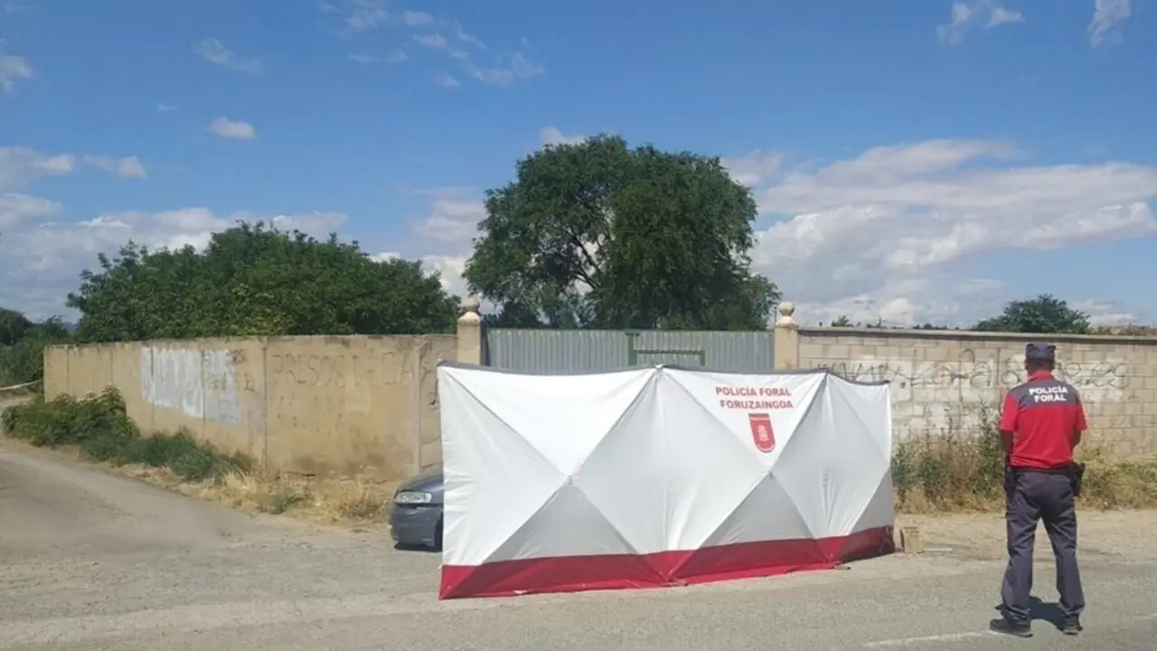 Veh&iacute;culo en el que se ha encontrado a la mujer apu&ntilde;alada