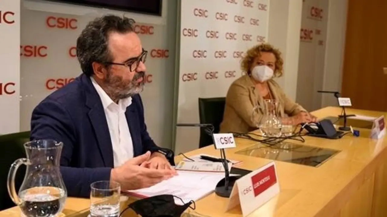 La presidenta del CSIC, Rosa Men&eacute;ndez, y el presidente del Comit&eacute; de &Eacute;tica del CSIC, Lluis Montoliu, durante la rueda de prensa