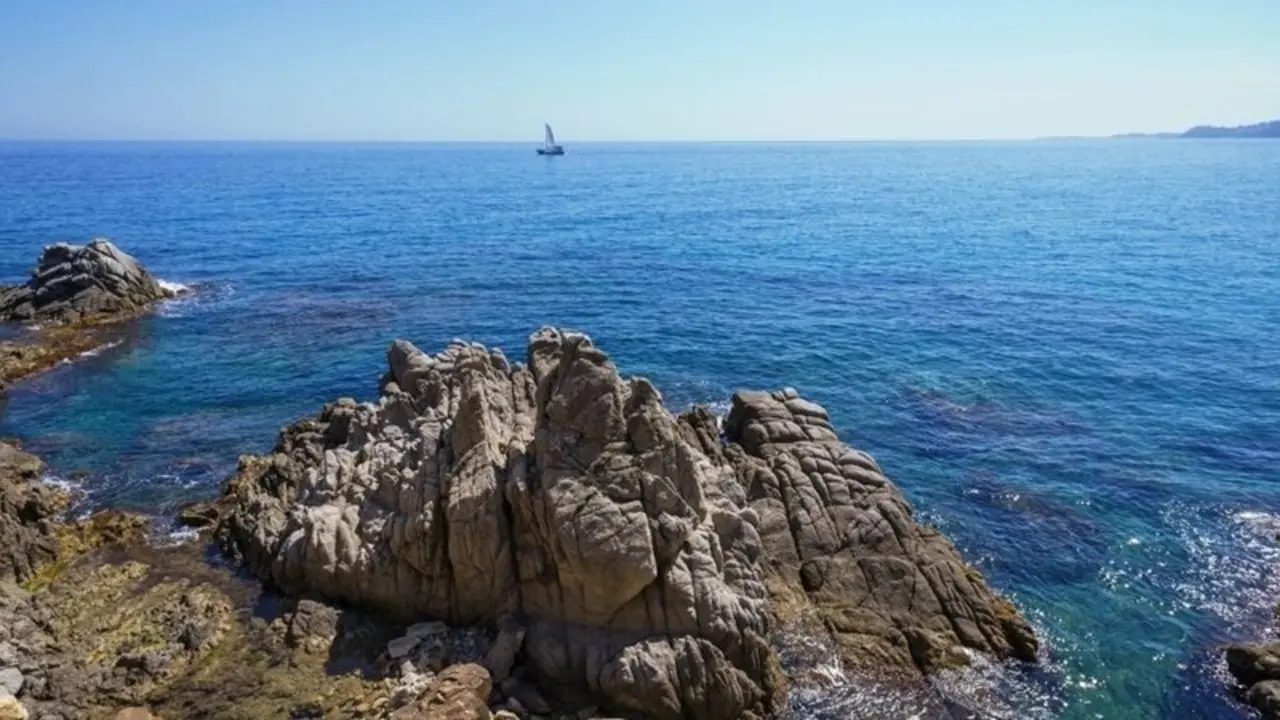 Un velero navegando cerca de la costa.