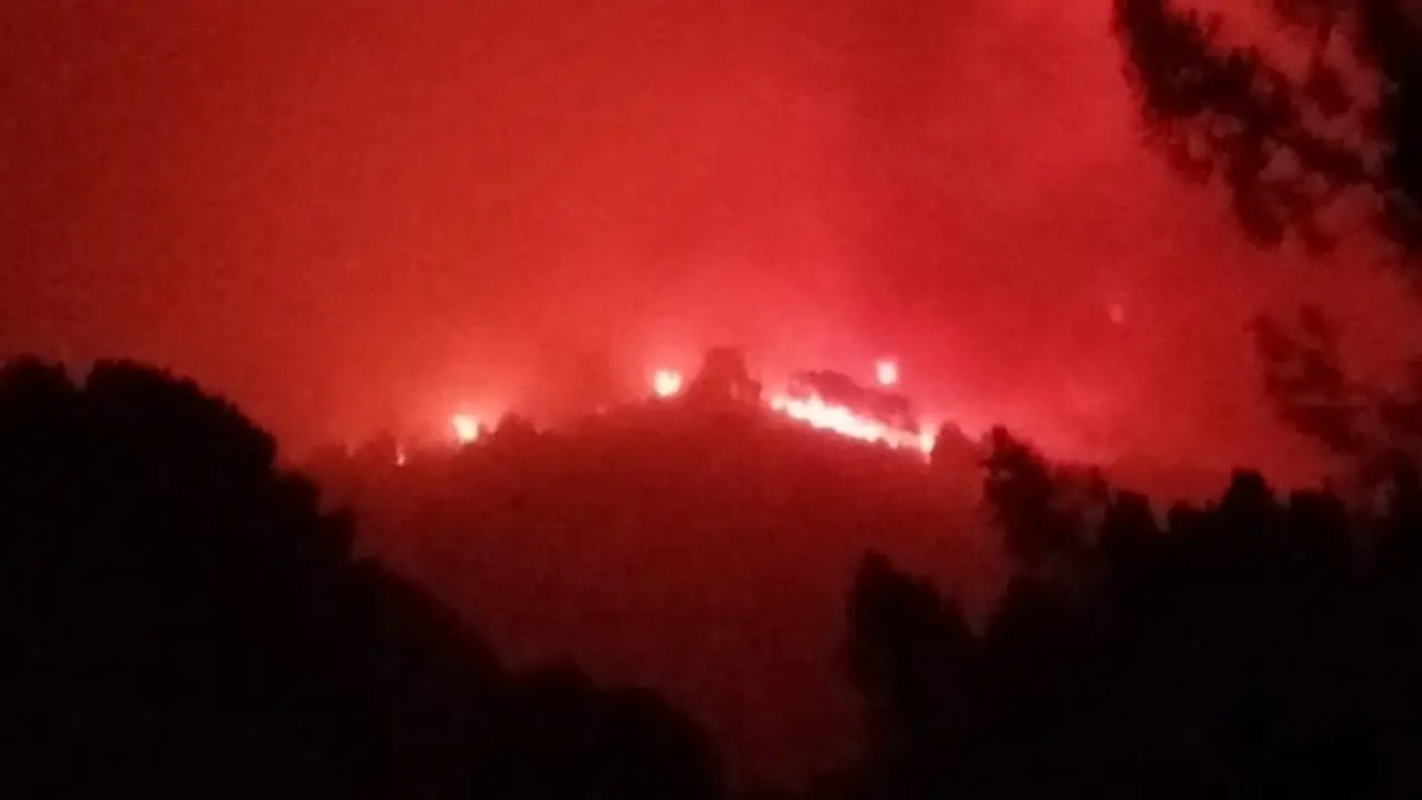 Declarado de madrugada un incendio forestal en un paraje de Jubrique (M&aacute;laga)