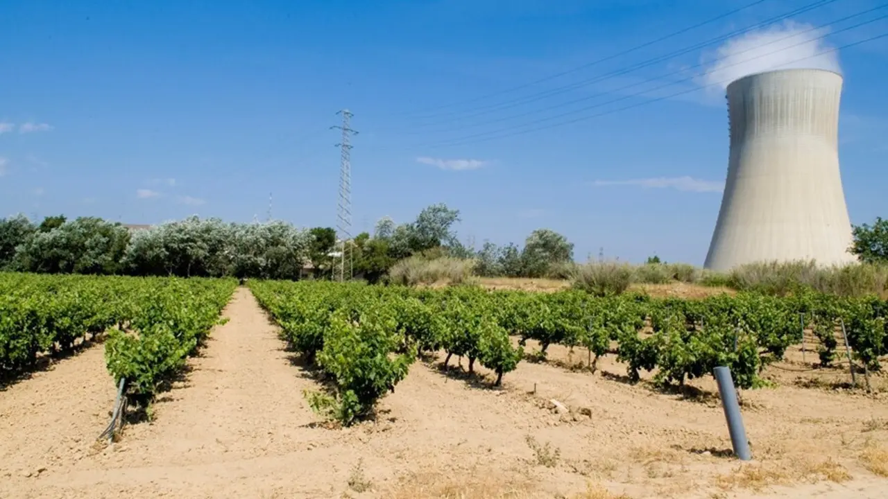 Central nuclear de Asc&oacute; (Tarragona)