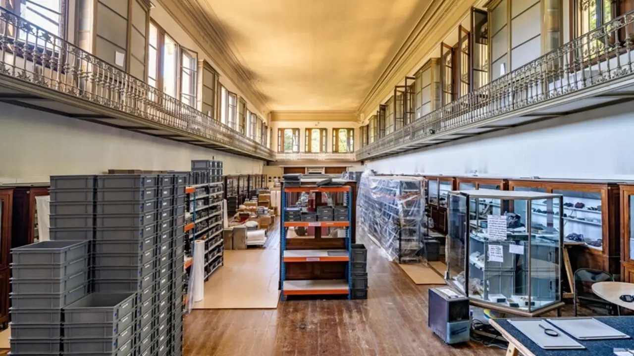 Imagen de los traslados de unas 600.000 piezas del Museu Martorell para iniciar la remodelaci&oacute;n del eficio