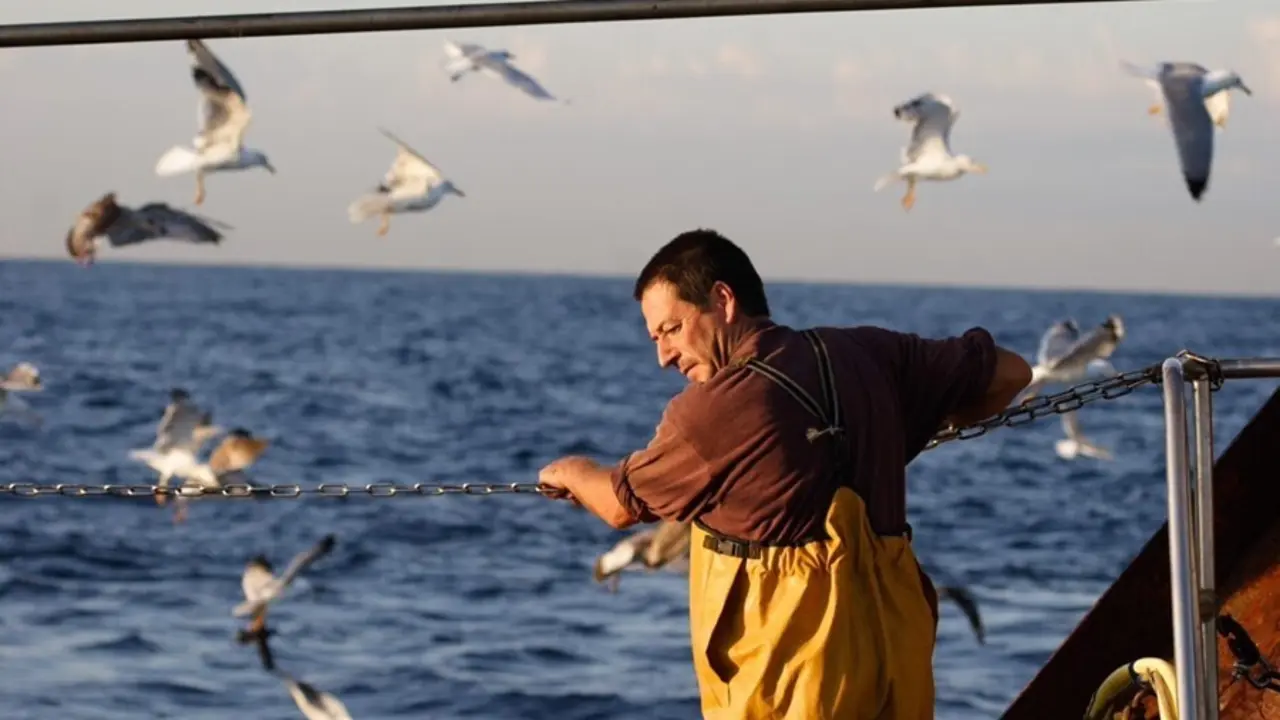 La ONG SEO/BirdLife inaugura en Ribeira (A Coru&ntilde;a) una muestra sobre la importancia de las aves en el mar y sus amenazas