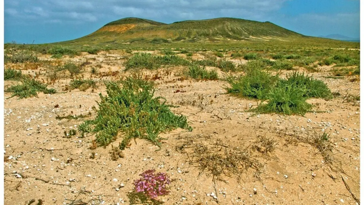 Espacio protegido de la zona norte de Lanzarote y Famara