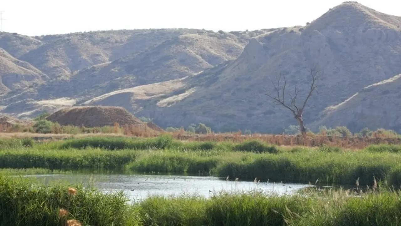Piden firmas para que se protejan los humedales de Soto Guti&eacute;rrez en Ciempozuelos, amenazados por obras de drenaje