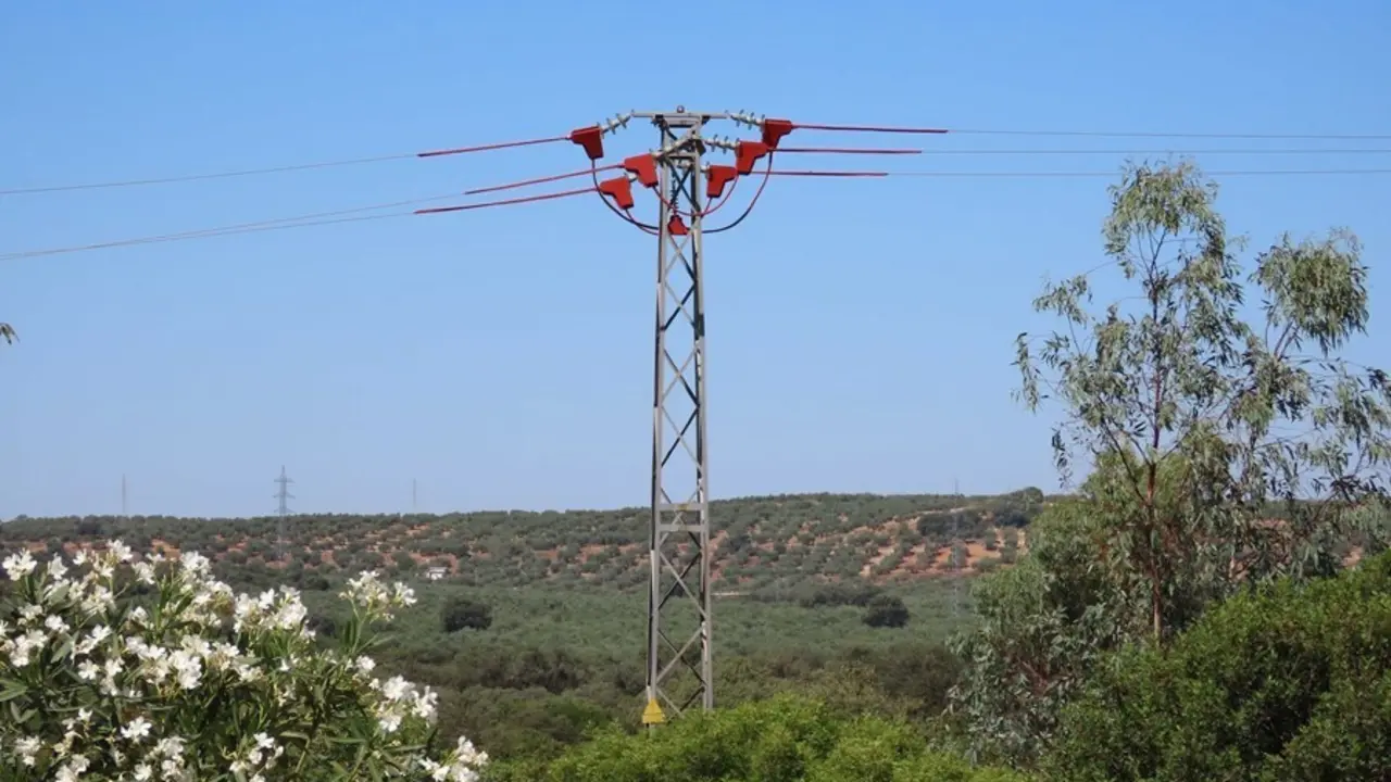 Uno de los apoyos, ya aislado, del tendido el&eacute;ctrico corregido en la provincia de Ja&eacute;n.