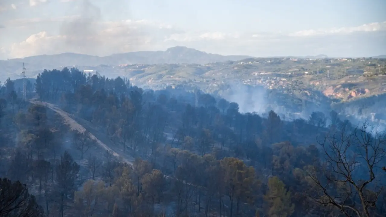 Zona afectada por el incendio en los municipios de Castellv&iacute; de Rosanes y Martorell (Barcelona).