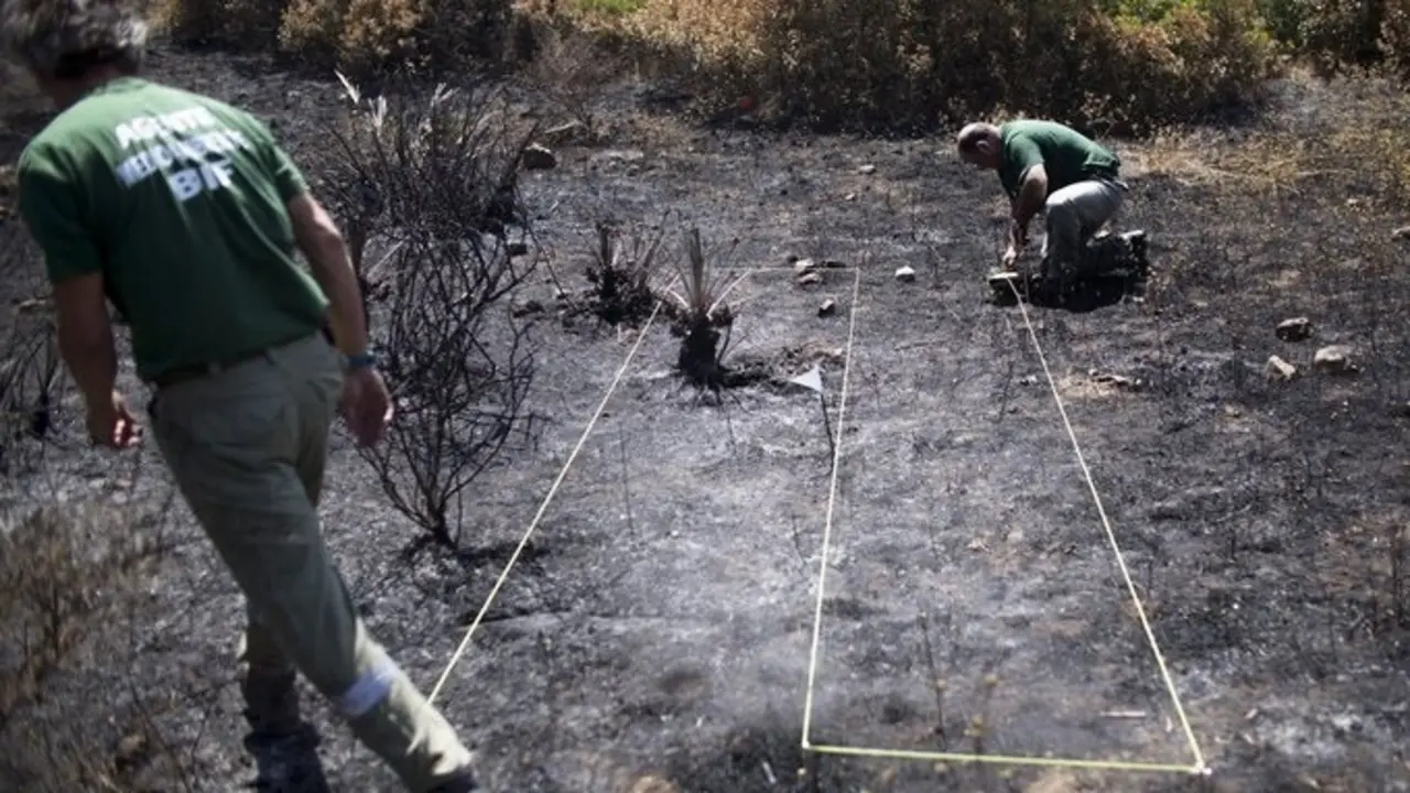 Efectivos de las brigadas de investigaci&oacute;n de incendios forestales realizando su labor.