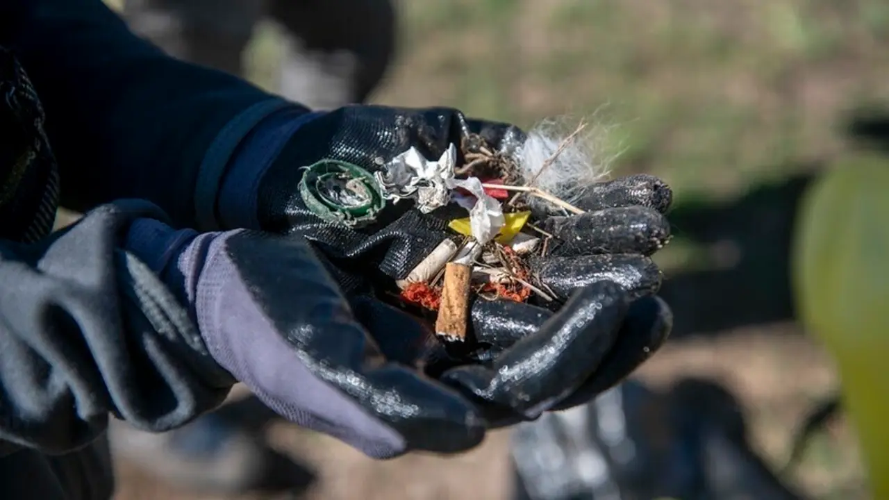 La ONG, SEO/BirdLife , impulsa su campa&ntilde;a para recoger "basuraleza" durante el verano
