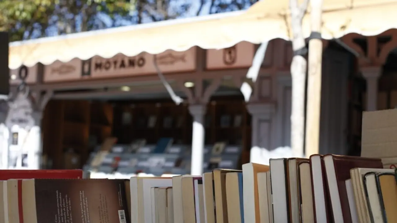 Libros en la calle Madrid