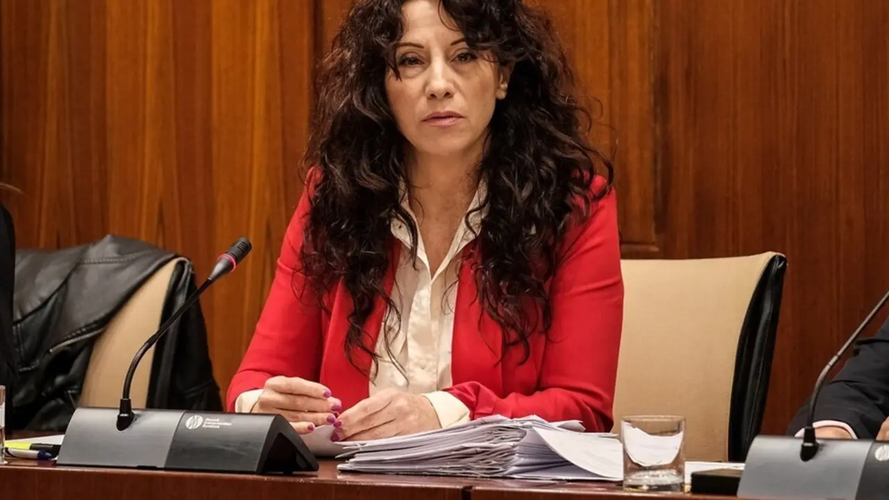 Archivo - La consejera de Igualdad, Pol&iacute;ticas Sociales y Conciliaci&oacute;n, Roc&iacute;o Ruiz, en una imagen de archivo.