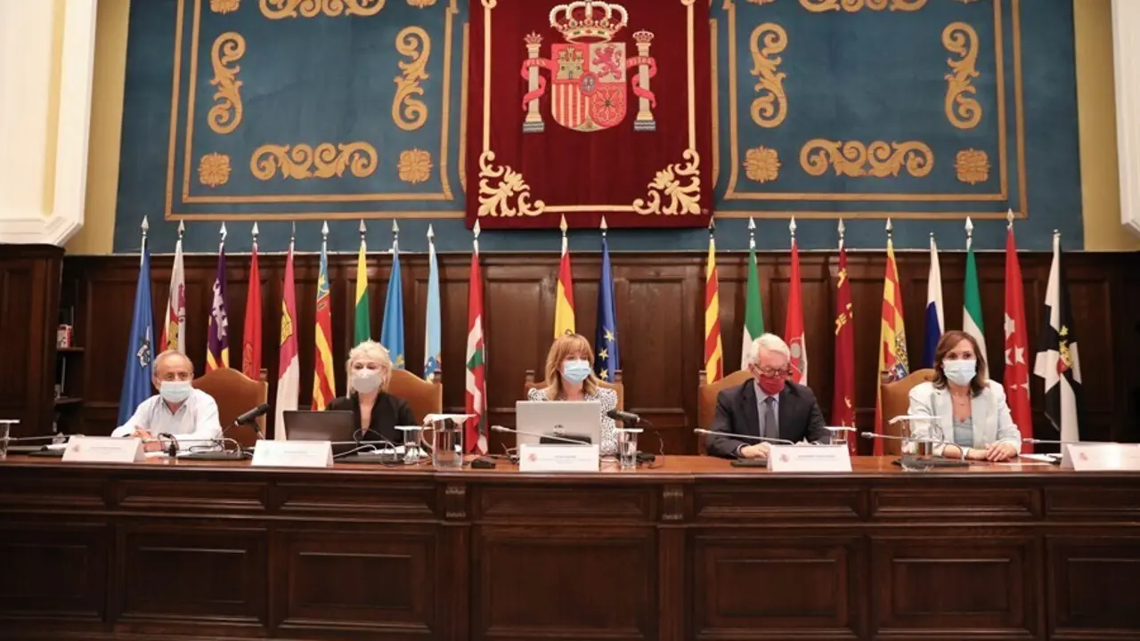 Reuni&oacute;n del Pleno del Consejo Escolar del Estado este jueves, donde la ministra de Educaci&oacute;n y FP, Pilar Alegr&iacute;a, ha presentado ante la comunidad educativa el anteproyecto de Ley Org&aacute;nica de Ordenaci&oacute;n e Integraci&oacute;n de la Formaci&oacute;n Profesional