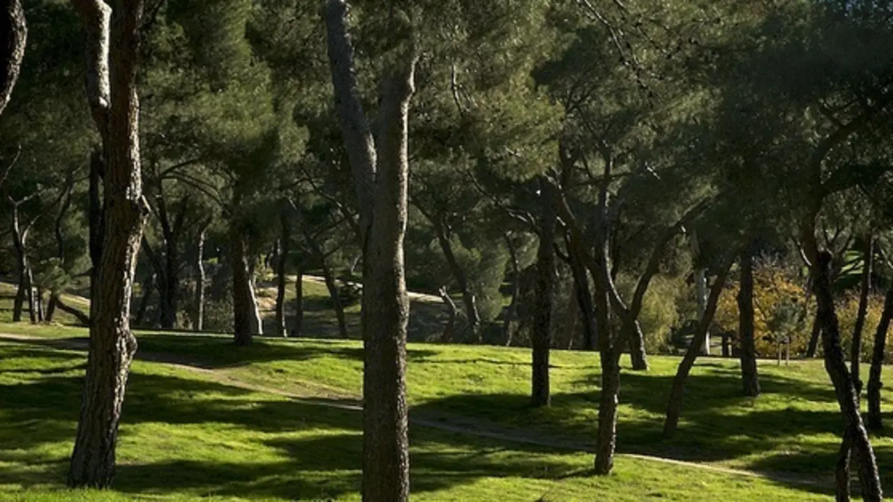 Archivo - Im&aacute;gen de archivo de la Dehesa de la Villa, en el distrito madrile&ntilde;o de Moncloa-Aravaca