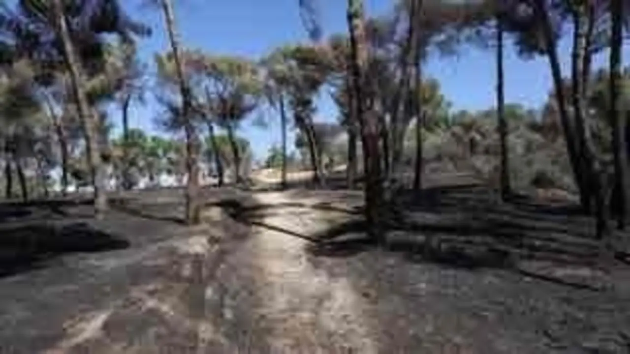 Dehesa de la Villa quemada