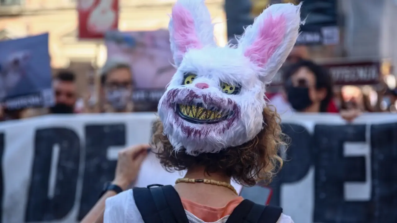 Archivo - Varias personas participan en una manifestaci&oacute;n para exigir el rescate de los animales de Laboratorios Vivotecnia.