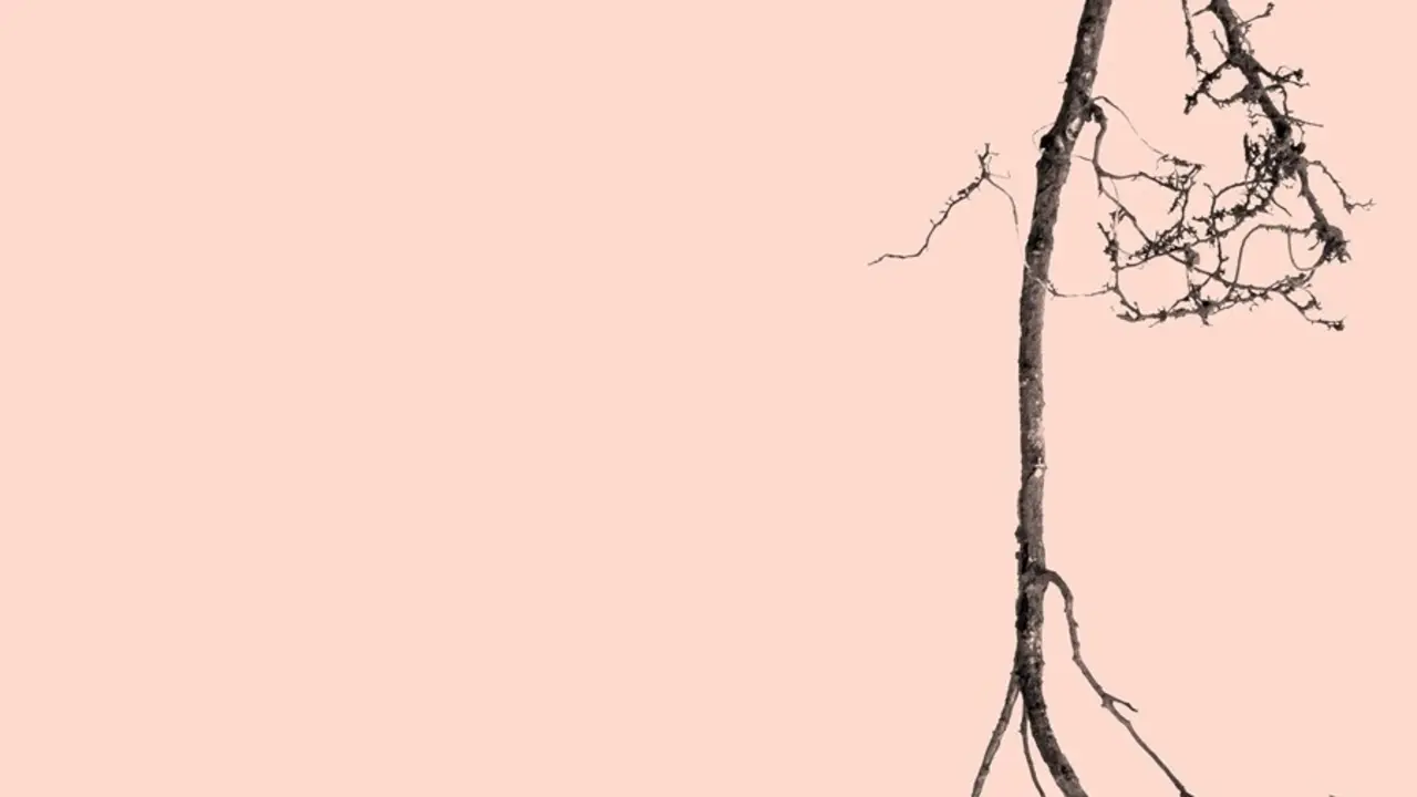Imagen del espect&aacute;culo &lsquo;Trencad&iacute;s&rsquo;, la primera propuesta art&iacute;stica de la Orquestra de M&uacute;siques d&rsquo;Arrel de Catalunya