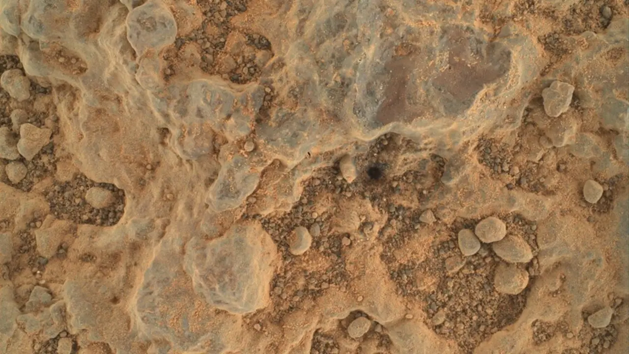 El rover Perseverance Mars de la NASA tom&oacute; este primer plano de un objetivo rocoso apodado "Foux" usando su c&aacute;mara WATSON en el extremo del brazo rob&oacute;tico del rover. La imagen fue tomada el 11 de julio de 2021, el d&iacute;a 139 marciano, o sol, de la misi&oacute;n.