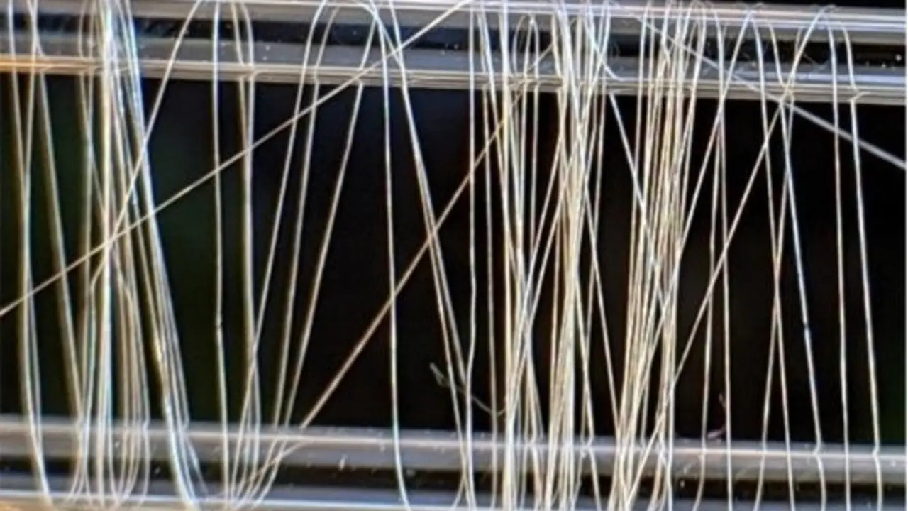 Fibra amiloide polim&eacute;rica hilada.