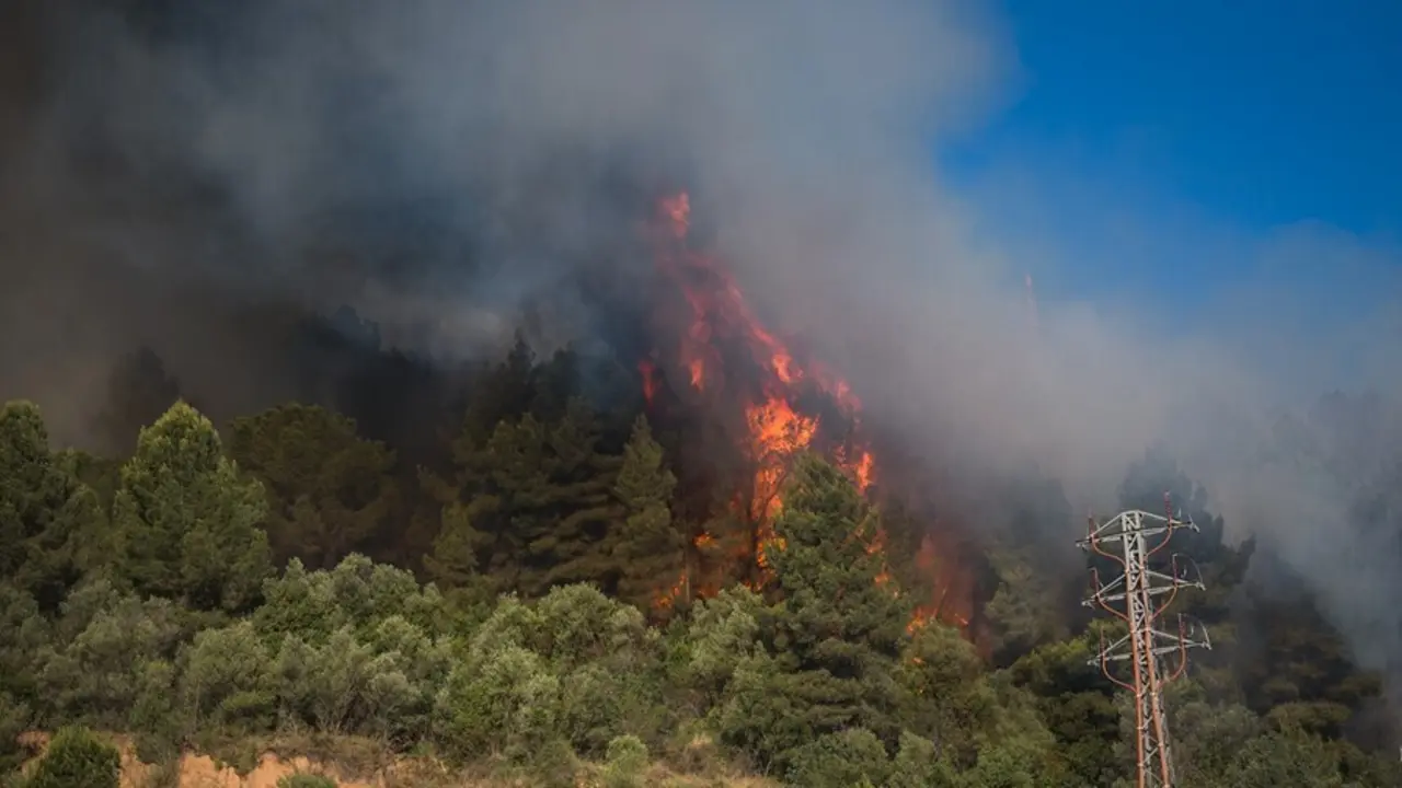 Incendio en las inmediaciones del pol&iacute;gono del Congost en Martorell (Barcelona), este mes de julio