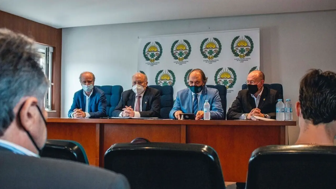 Archivo - Rueda de Prensa Colegio Veterinarios Lugo