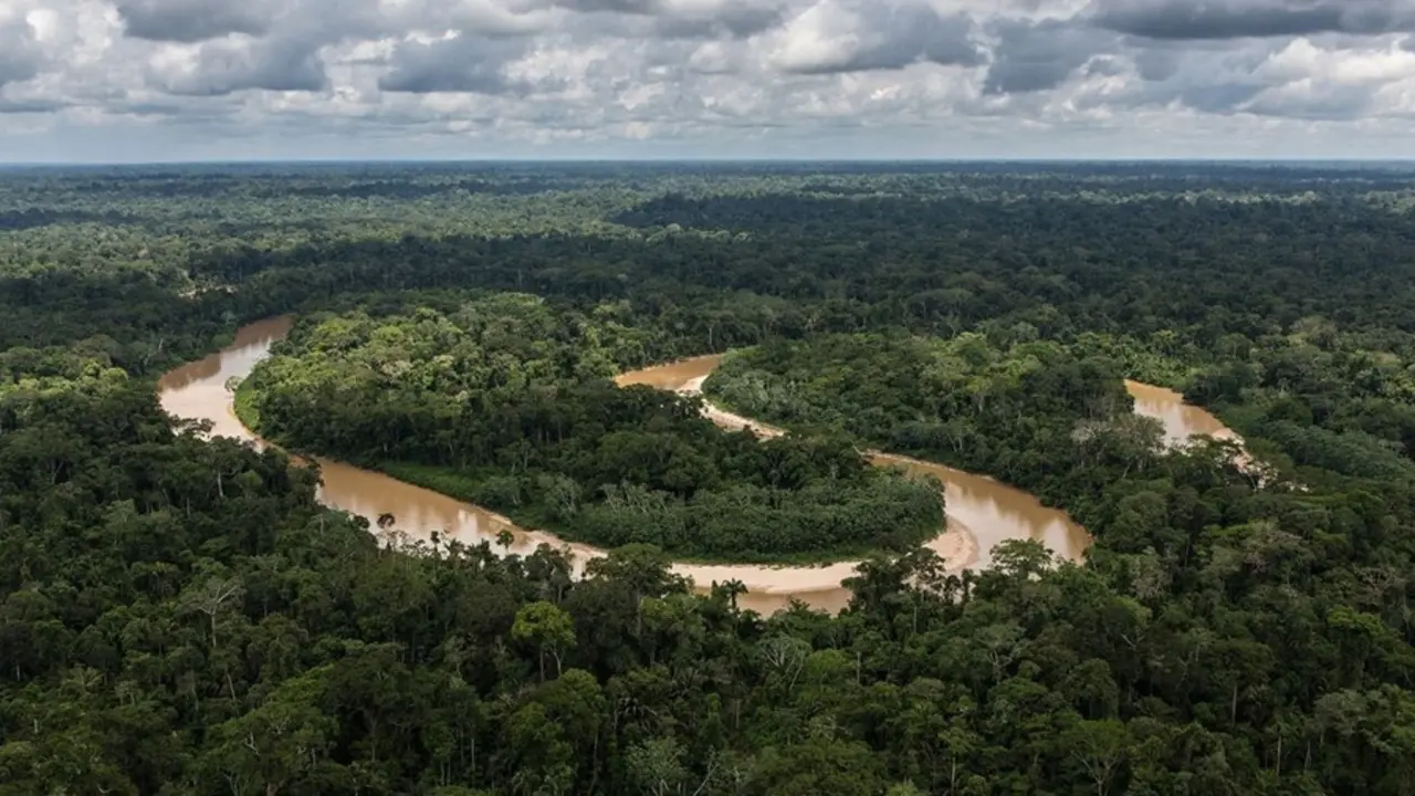 La selva amaz&oacute;nica a menudo se llama "los pulmones del mundo".