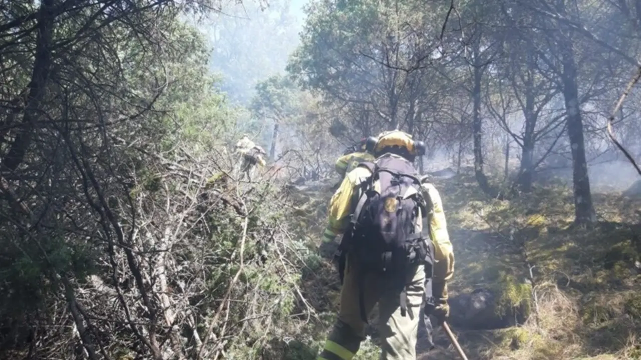 Bomberos forestales, en el incendio de Candeleda.