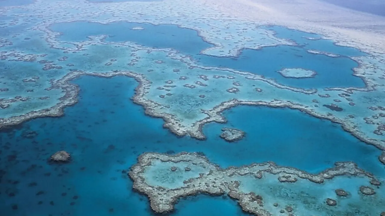 Archivo - La Gran Barrera de Coral australiana