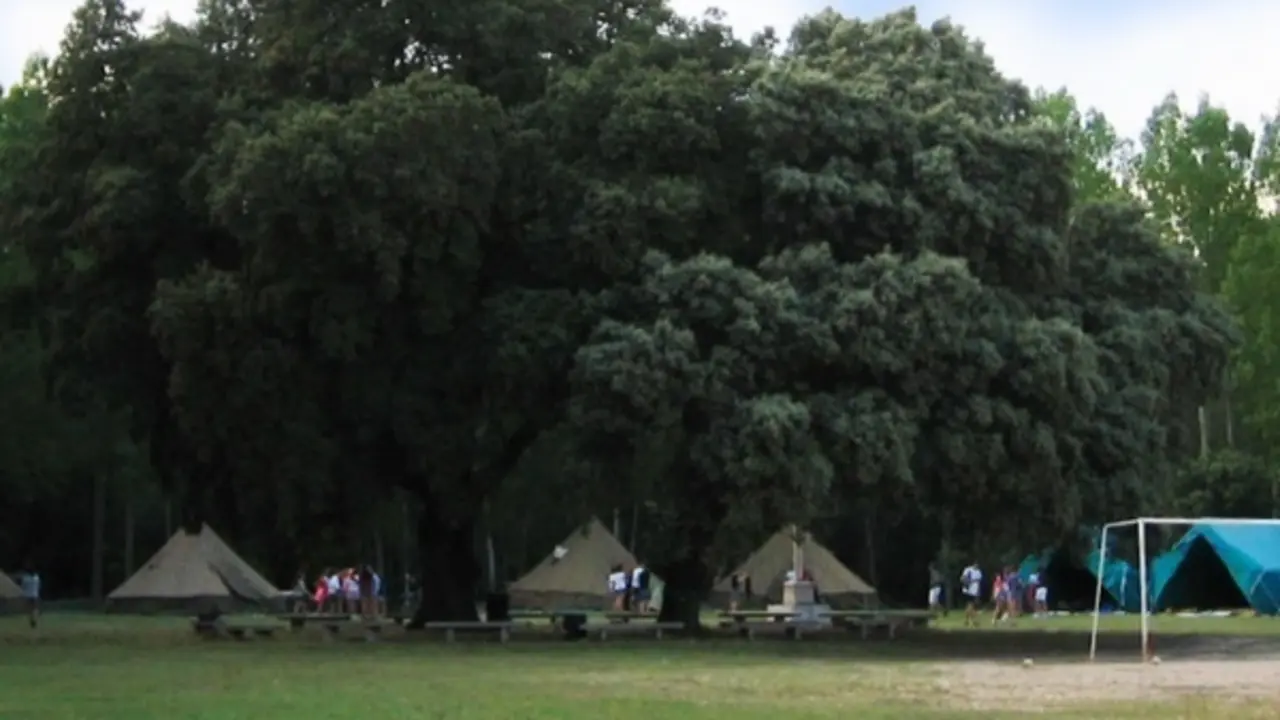 Campamento en La Vid (Burgos)