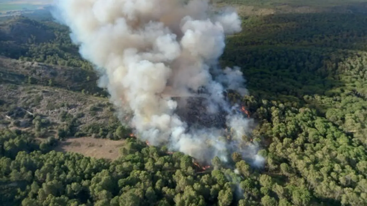 Imagen del incendio de vegetaci&oacute;n forestal en el macizo del Montgr&iacute; (Girona)