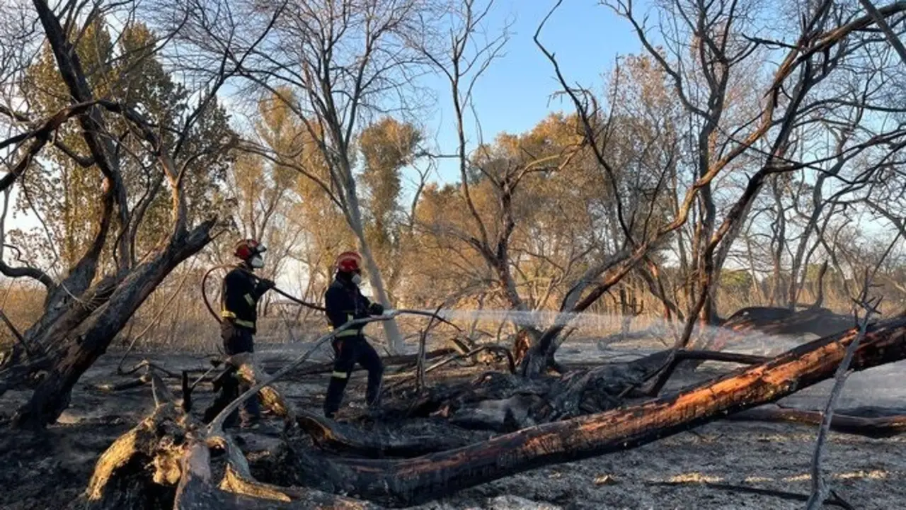 Bomberos de la Comunidad act&uacute;an en un incendio originado en Fuente El Saz de Jarama.