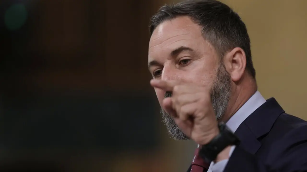 El l&iacute;der de Vox, Santiago Abascal, foto de recurso