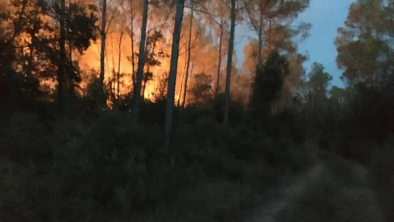 Imagen del incendio forestal en Ventall&oacute; (Girona)