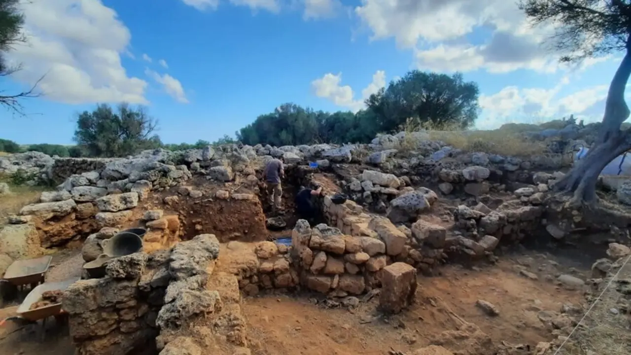 Detalle de la excavaci&oacute;n