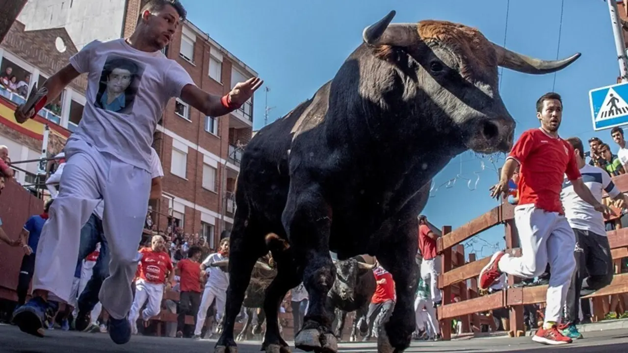 Archivo - Encierros durante las fiestas patronales del Cristo de los Remedios
