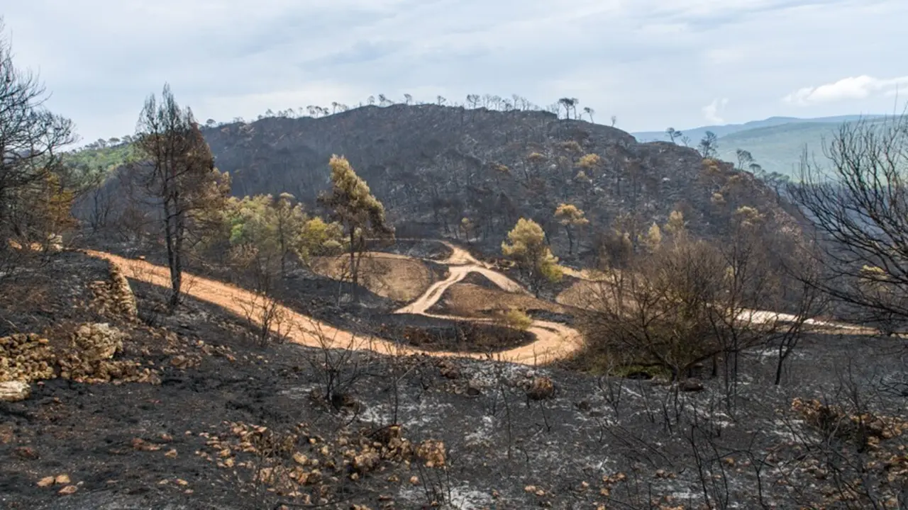 Inmediaciones de Santa Coloma de Queralt (Tarragona) tras el incendio iniciado el pasado s&aacute;bado, que ha quemado ya m&aacute;s de 1.600 hect&aacute;reas