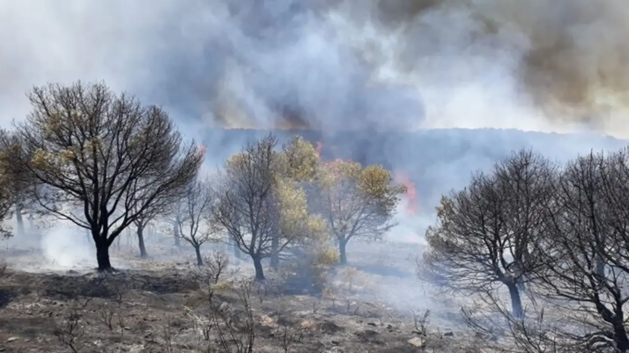 Archivo - Incendio en Monte Malag&oacute;n Belalc&aacute;zar (Foto de archivo).