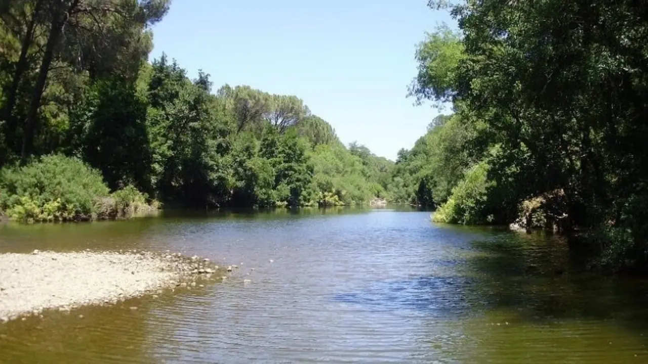 Archivo - Estuario del Guadiana.
