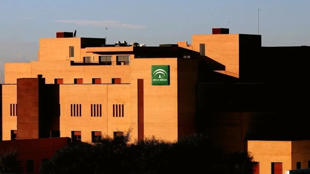 Archivo - Prisi&oacute;n sin fianza para el conductor del accidente mortal para su mujer en Tomares (Sevilla)