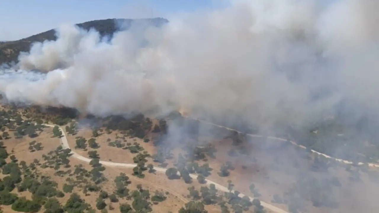 Incendio en Alcal&aacute; de los Gazules.
