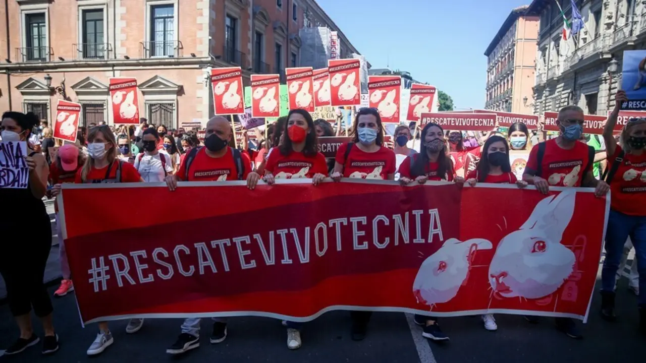 Archivo - Varias personas participan en una manifestaci&oacute;n para exigir el rescate de los animales de Laboratorios Vivotecnia, a 29 de mayo de mayo de 2021, en Madrid (Espa&ntilde;a). Activistas y decenas de organizaciones animalistas se han unido este s&aacute;bado para